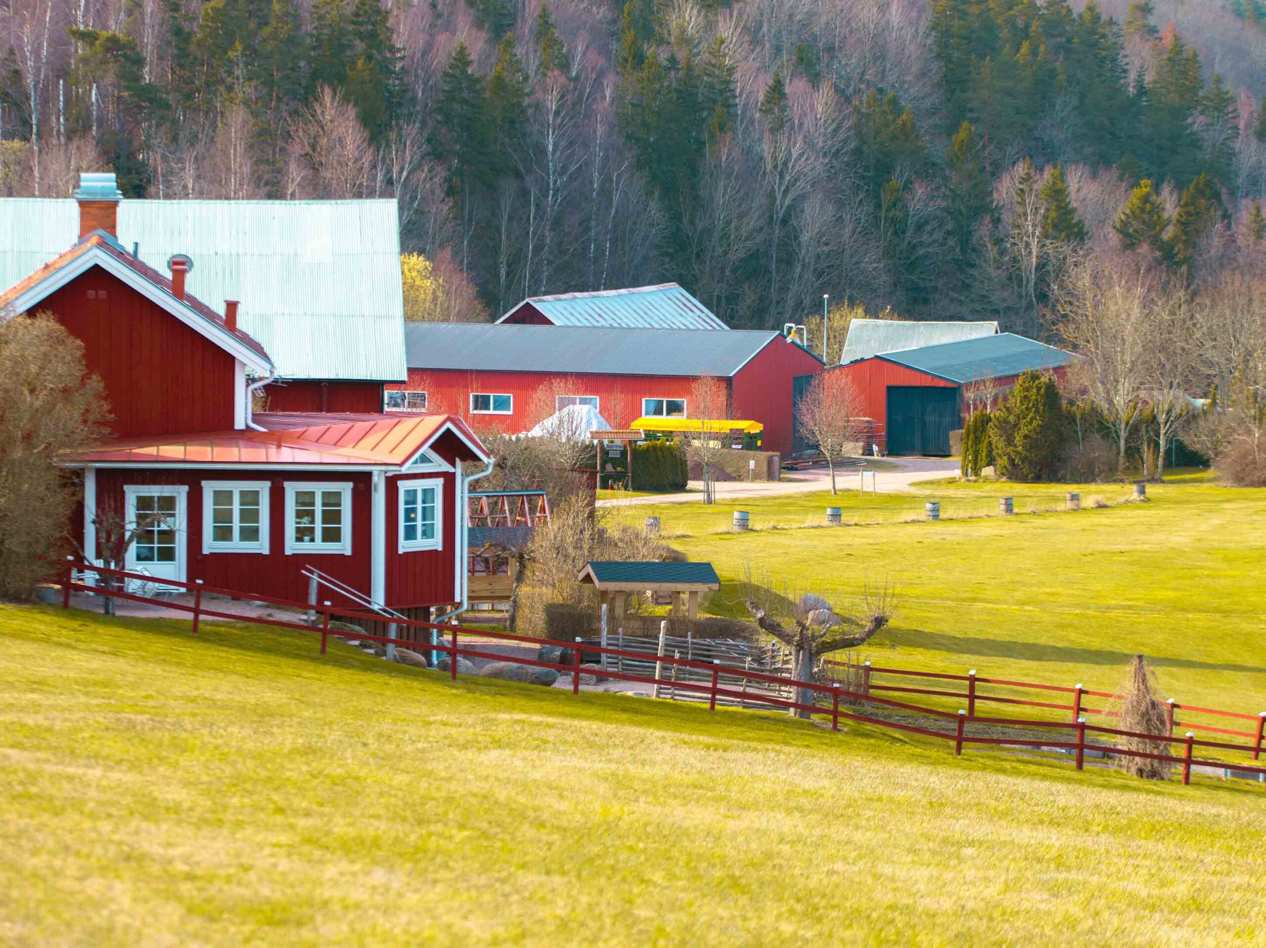 Farm Homes & Buildings