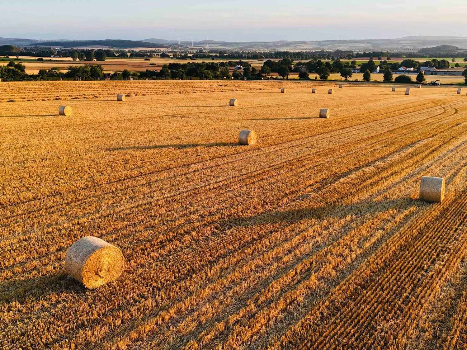 Farm Liability
